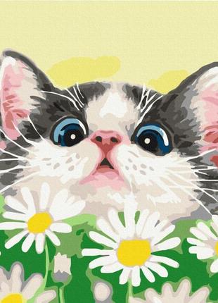 Картина за номерами brushme 40x50см "котик в ромашках" bs51569