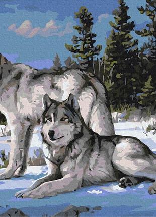Картина за номерами brushme 40x50см "вовки-захисники" bs51412