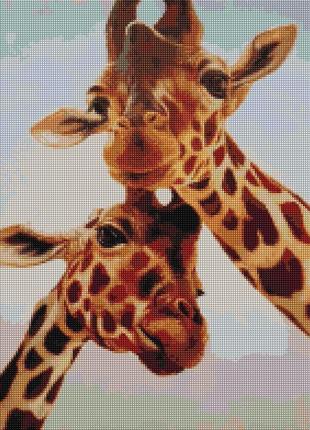 Алмазна мозаїка brushme 40x50см "споріднені душі ©lucia heffernan" dbs1223