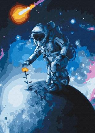 Картина за номерами brushme 40x50см "квіти всесвіту" bs38452