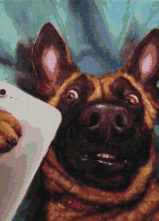 Алмазна мозаїка brushme 40x50см "селфі чарлі ©lucia heffernan" dbs1209