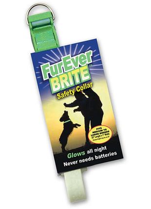 Davis furever brite safety collar девіс нашийник що світиться для собак