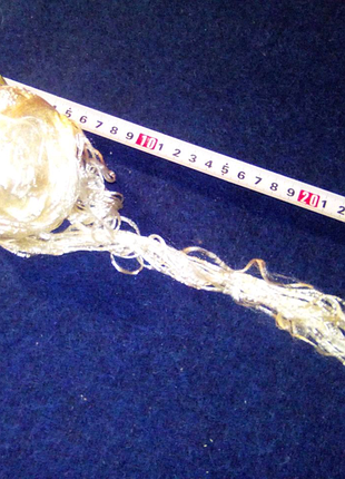 Яркая нитка ссср недорого