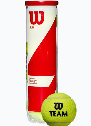 Мячи теннисные wilson team practice wrt111900 (4 шт.)