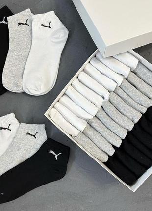 Набір носків 30 пар puma