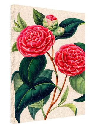 Картина на холсте garden roses 45х65 см (h4565_tsv008)