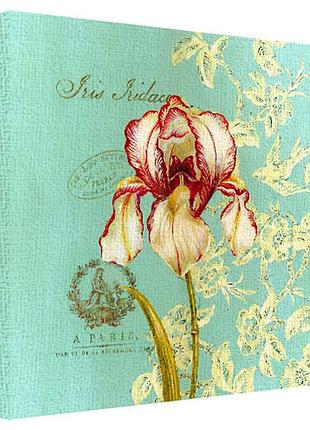 Картина на полотні iris iridaceae 50x50 см (h5050_ret012)