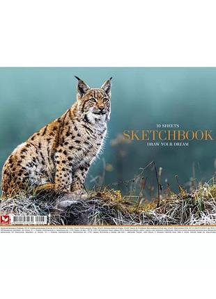 Альбом для рисования animal pb-sc-030-287-2 спираль, 30 листов