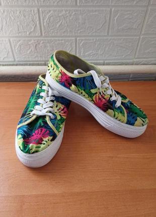 Кросівки жіночі