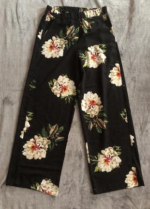 Штани, кюлоти