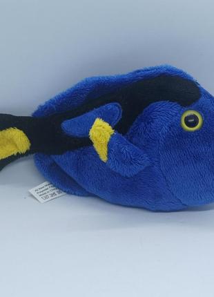 Рыбка врач хирург