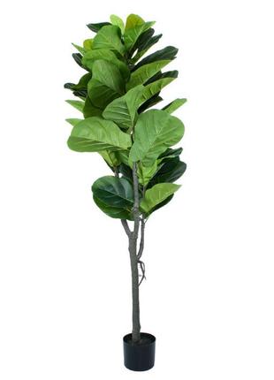 Штучна рослина engard fiddle, 150 см (tw-02)