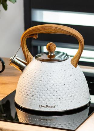 Чайник со свистком 3 литра для плиты с деревянной ручкой белый ve-33