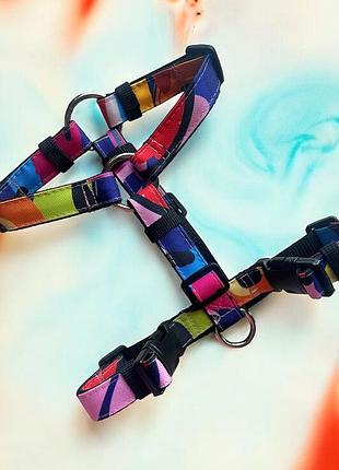 Анатомічна шлея, амуніція для собак