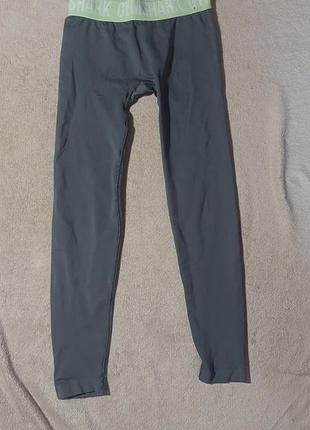 Лосины gymshark