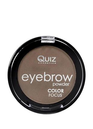 Тени-пудра для бровей quiz cosmetics eyebrow powder 4g (5906439019338)
