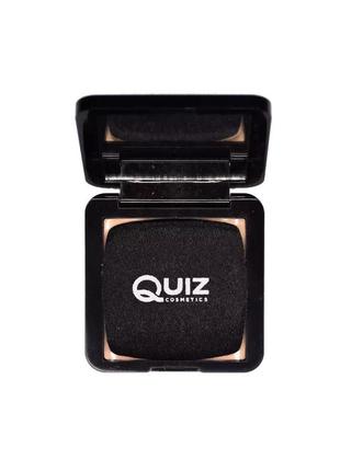 Пудра для лица quiz cosmetics camouflage powder 10 гр2 фото