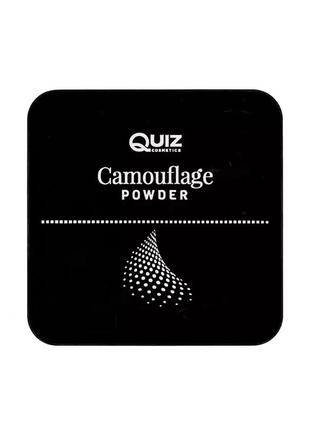 Пудра для лица quiz cosmetics camouflage powder 10 гр1 фото