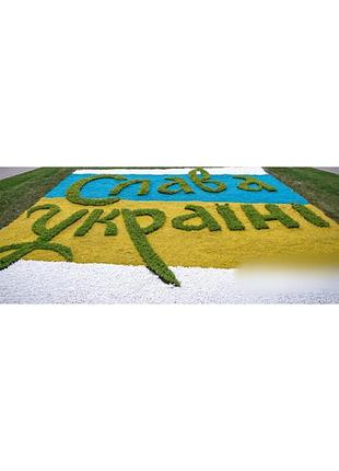 Щебень флаг україни синій   25кг 3