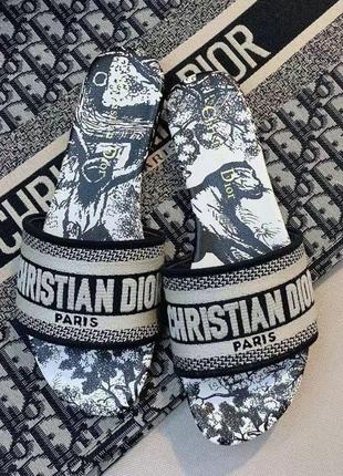 Шльопанці у стилі dior