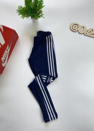 Женские лосины/леггинсы adidas originals 3-stripes trefoil leggings!
