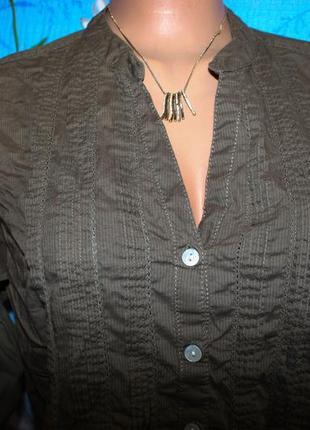 Сорочка з короткими руковами від фірми yessica6 фото