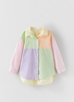 Кольорова сорочка з оксфорду