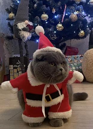 Костюм санты для кота/собаки