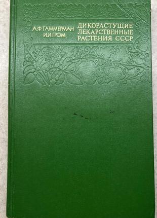 Дикорослі лікарські рослини зір