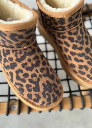 Угги лео леопард женские замш бежевые угги9 фото