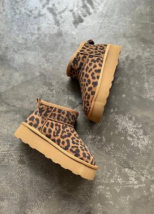 Угги лео леопард женские замш бежевые угги2 фото