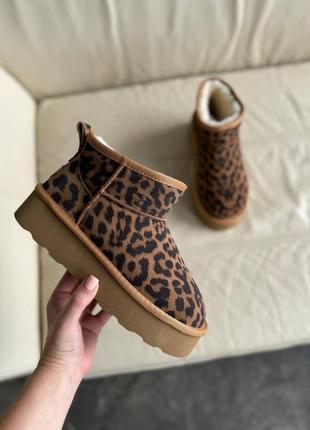 Угги лео леопард женские замш бежевые угги6 фото