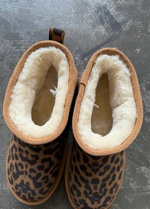 Угги лео леопард женские замш бежевые угги3 фото