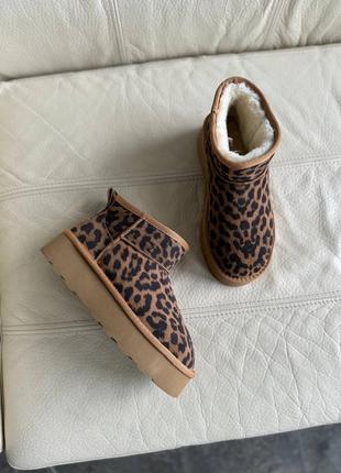 Угги лео леопард женские замш бежевые угги7 фото