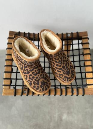 Угги лео леопард женские замш бежевые угги8 фото