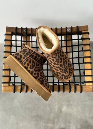 Угги лео леопард женские замш бежевые угги10 фото