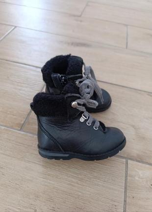 Зимние сапожки clarks размер 20