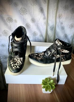 Кроссовки высокие, хайтопы, michael kors, кожа