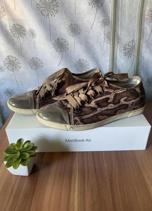 Кеди, кросівки, зміїний принт