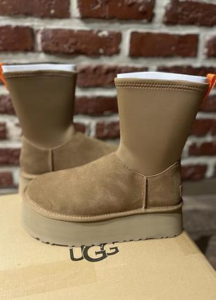 Ugg оригінал