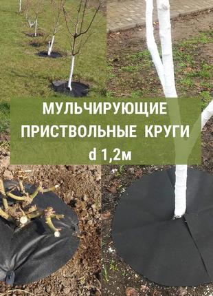 Приствольный круг d 1,2 м из агроволокна п - 70 г/м.кв.