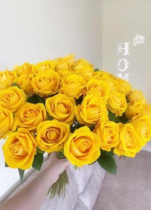 Троянди жовті4 фото