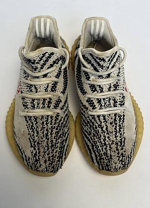 Кросівки adidas /// yeezy boost 350 zebra 🦓