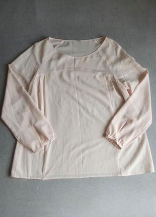 Нежная шифоновая блузка