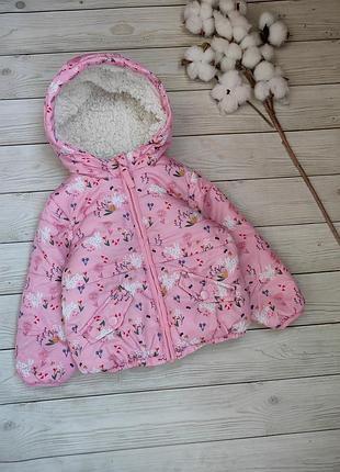 Демісезонна куртка, курточка холодна осінь