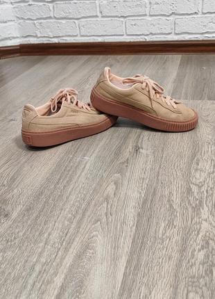Натуральна замша puma