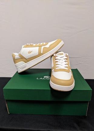 Жіночі lacoste t-clip 124 5 sfa