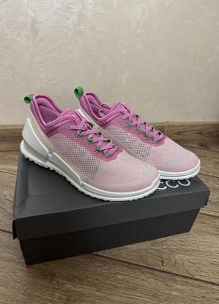 Кросівки ecco