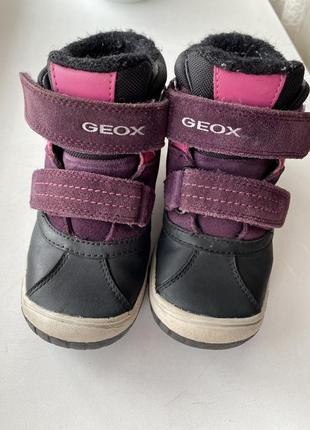 Зимние сапоги geox