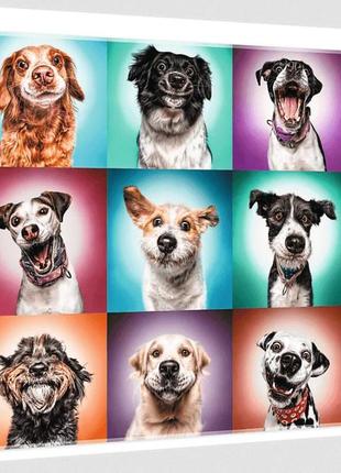 Пазл портрети собак 2000 елементів trefl